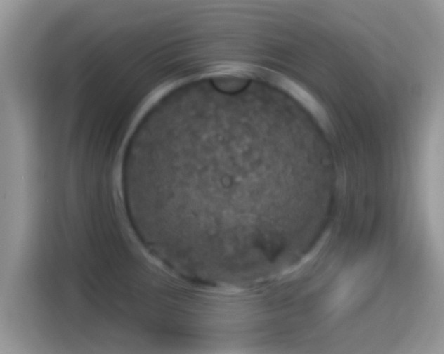 X0000116011283200911251113