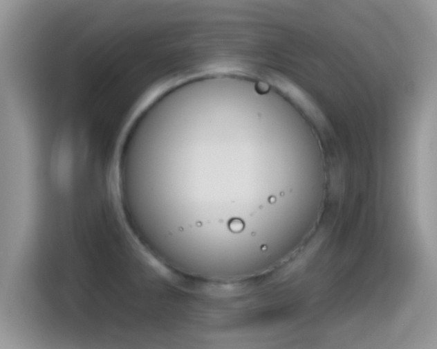 X0000116011286200911251113