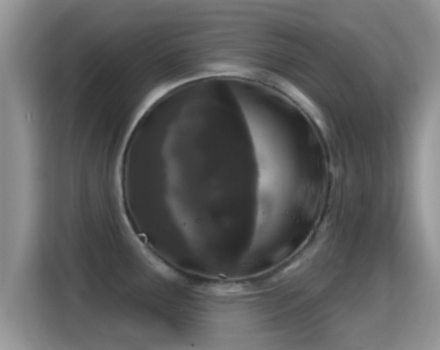 X0000116011291200911251113