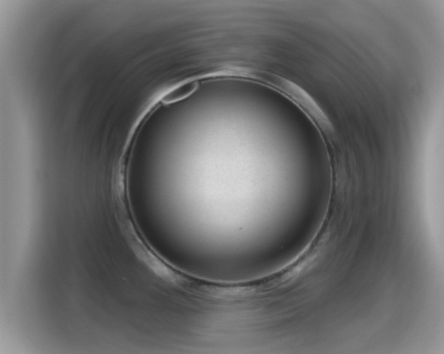 X0000116011292200911251113