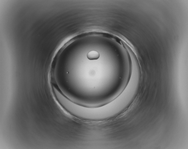 X0000116011293200911251113