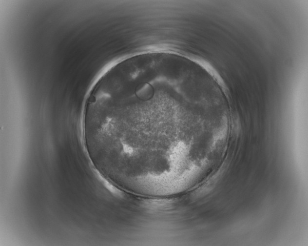 X0000116011294200911251113