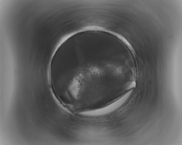 X0000116011295200911251113