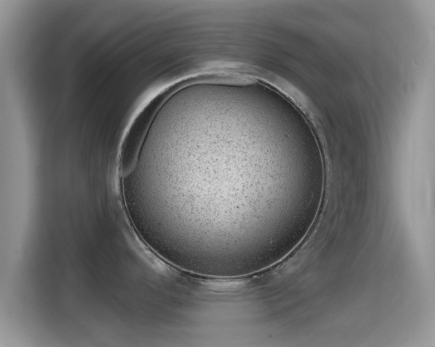 X0000116011296200911251113