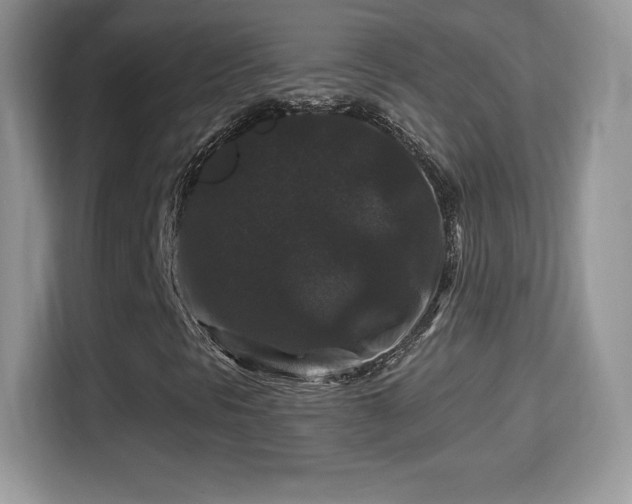 X0000116011297200911251112