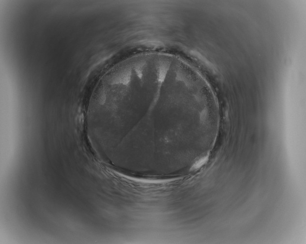 X0000116011302200911251112