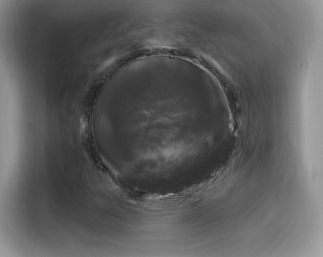 X0000116011303200911251112
