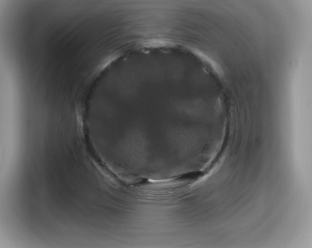 X0000116011305200911251112