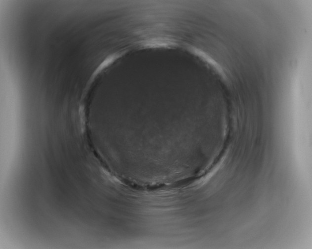 X0000116011306200911251112