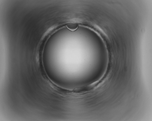 X0000116011307200911251112