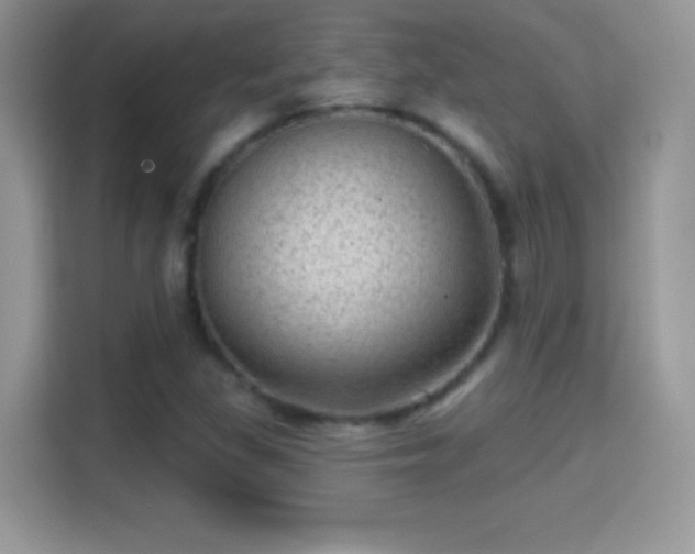 X0000116011309200911251112