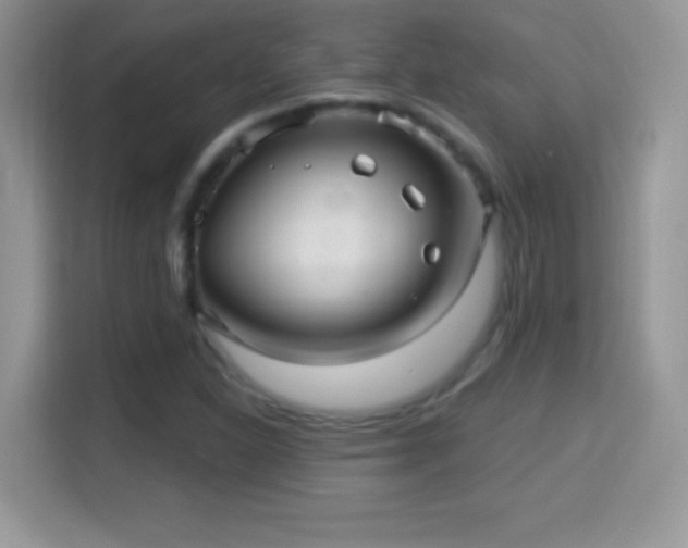 X0000116011310200911251112