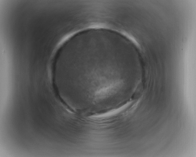 X0000116011311200911251112