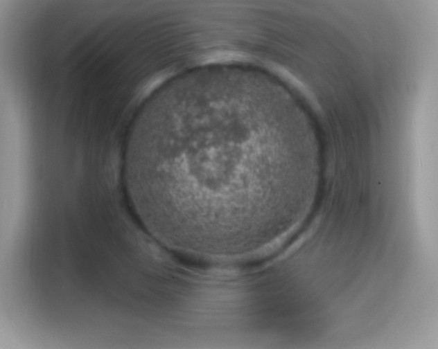 X0000116011313200911251112