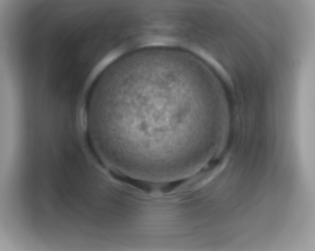 X0000116011317200911251112