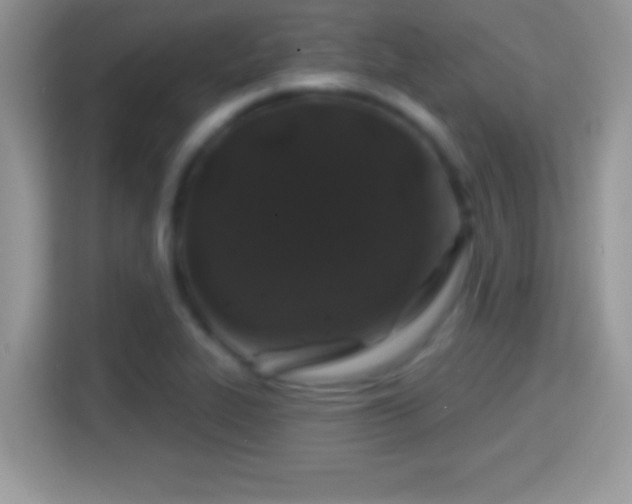 X0000116011319200911251112