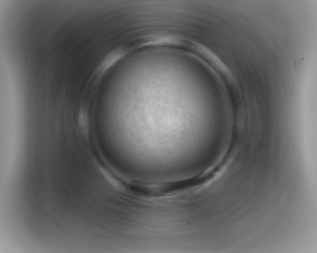 X0000116011321200911251112