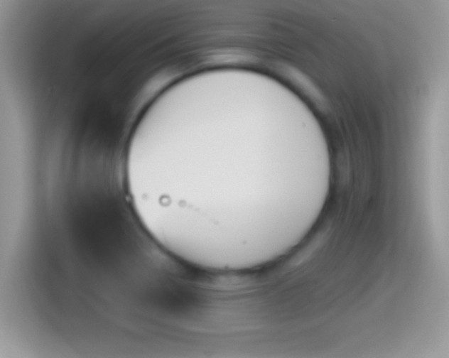 X0000116011322200911251112