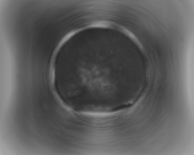 X0000116011323200911251112
