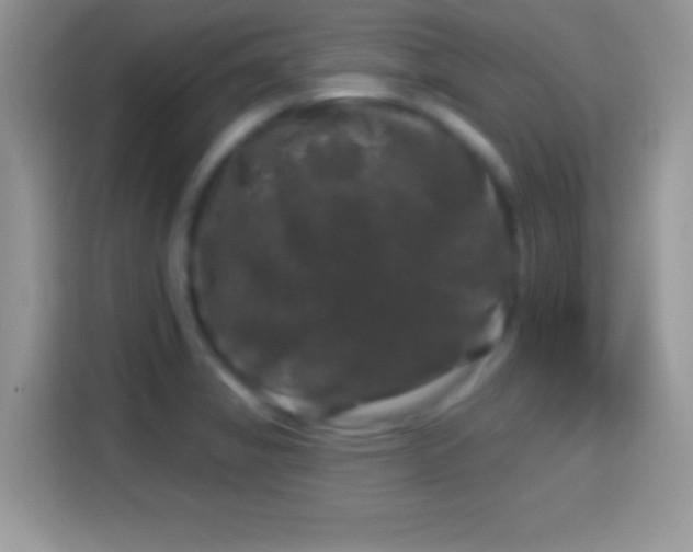 X0000116011325200911251112