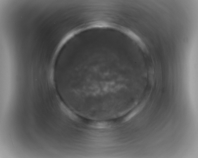 X0000116011326200911251112