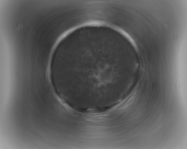 X0000116011327200911251112