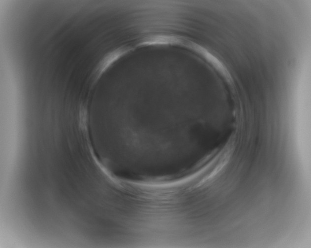 X0000116011329200911251112