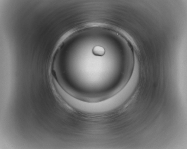 X0000116011330200911251113