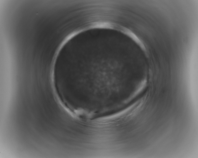 X0000116011331200911251113