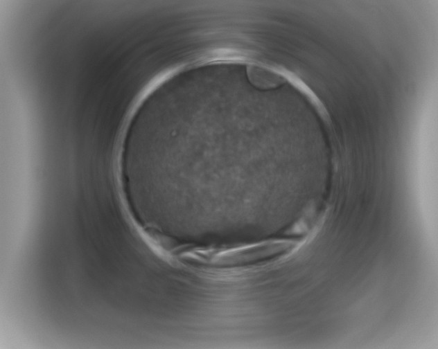 X0000116011333200911251113