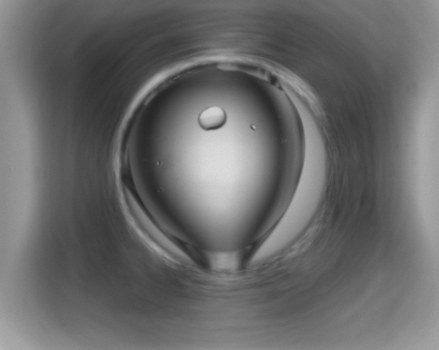 X0000116011334200911251113