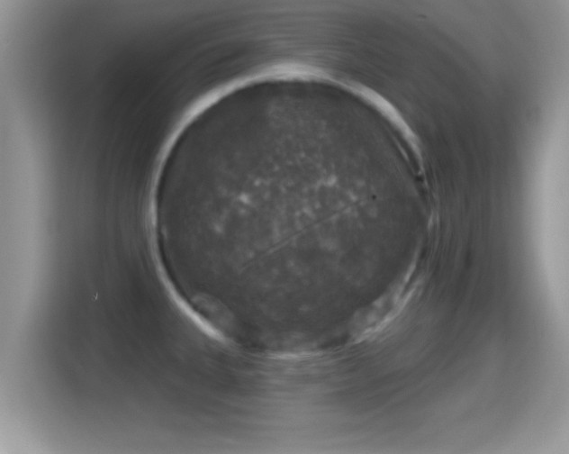 X0000116011335200911251113