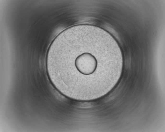 X0000116011338200911251113