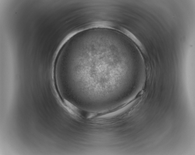 X0000116011339200911251113