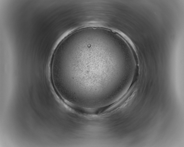 X0000116011341200911251113
