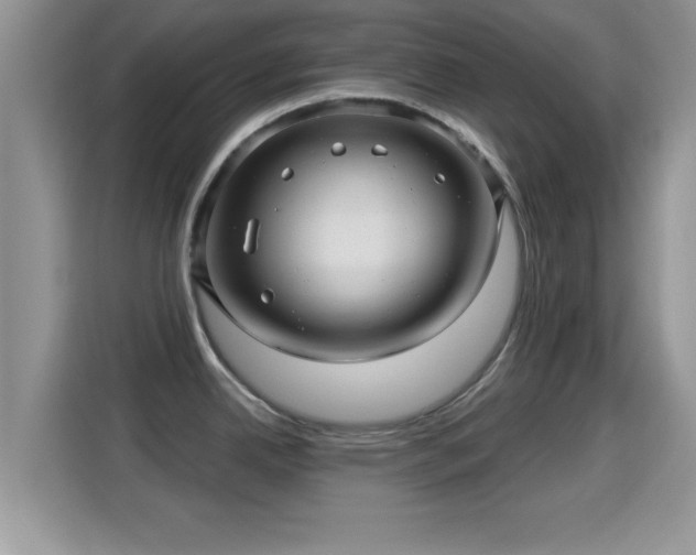 X0000116011342200911251113