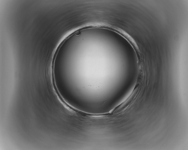 X0000116011343200911251113