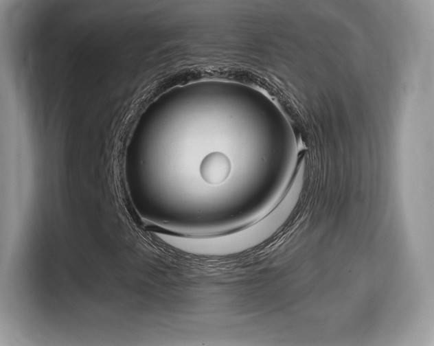 X0000116011345200911251112