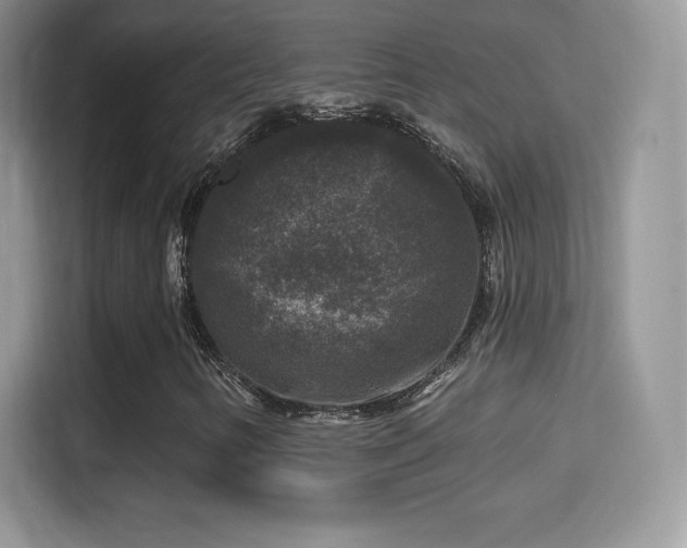 X0000116011346200911251112
