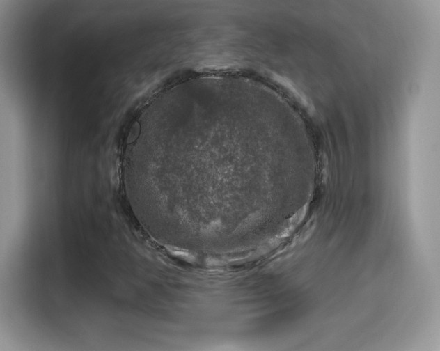 X0000116011350200911251112
