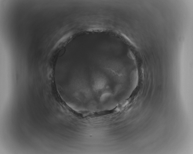 X0000116011351200911251112
