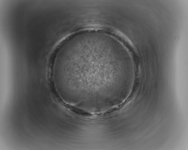 X0000116011352200911251112