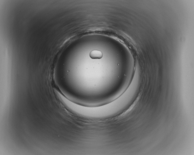 X0000116011353200911251112