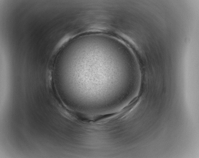 X0000116011355200911251112