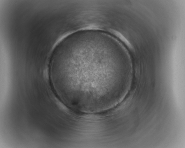 X0000116011356200911251112