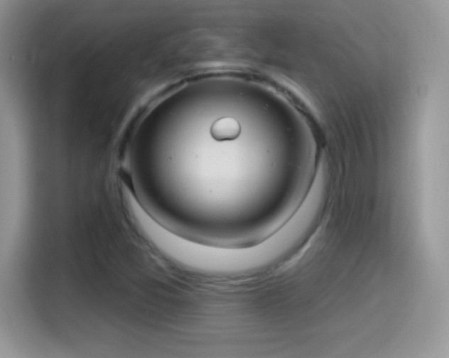 X0000116011357200911251112