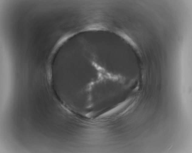 X0000116011358200911251112