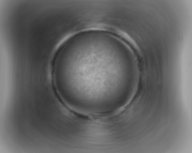 X0000116011360200911251112