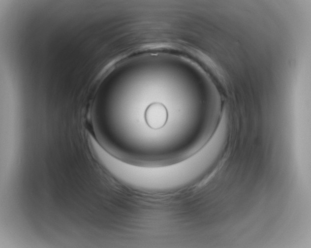 X0000116011361200911251112