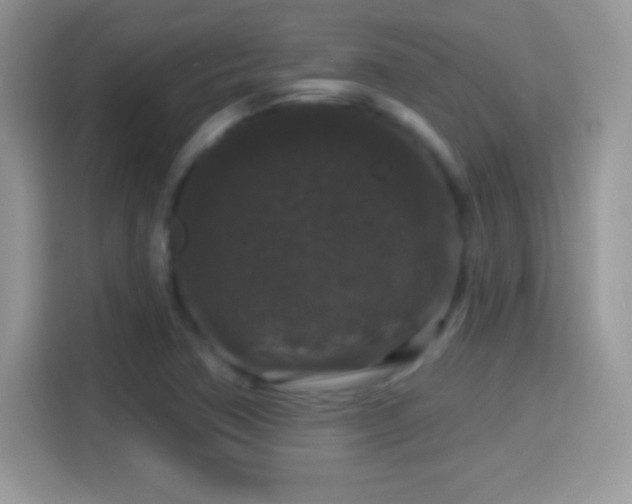 X0000116011362200911251112
